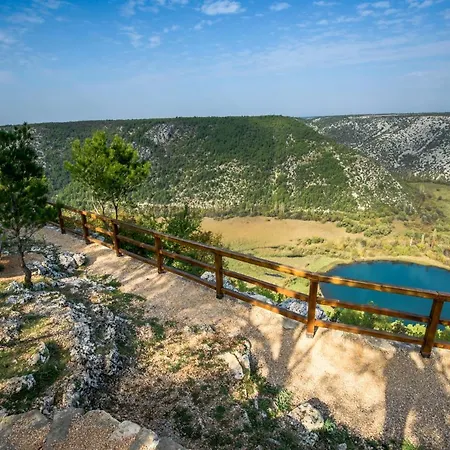 Experience * شيبينيك